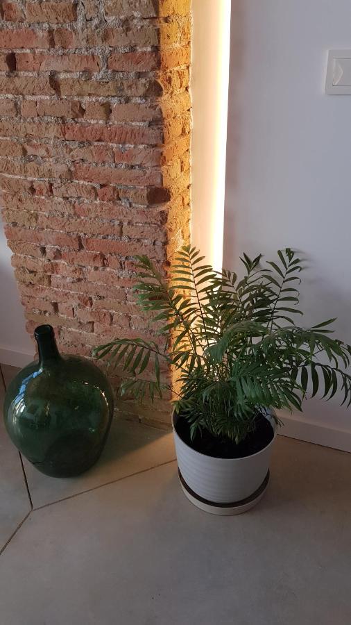 Loft Mariola - Apartamento En El Centro Historico Bocairent Exteriér fotografie